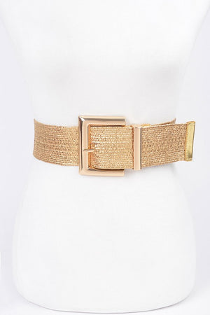 Clear Pvc Metal Buckle Belt ( 2 COLORS)